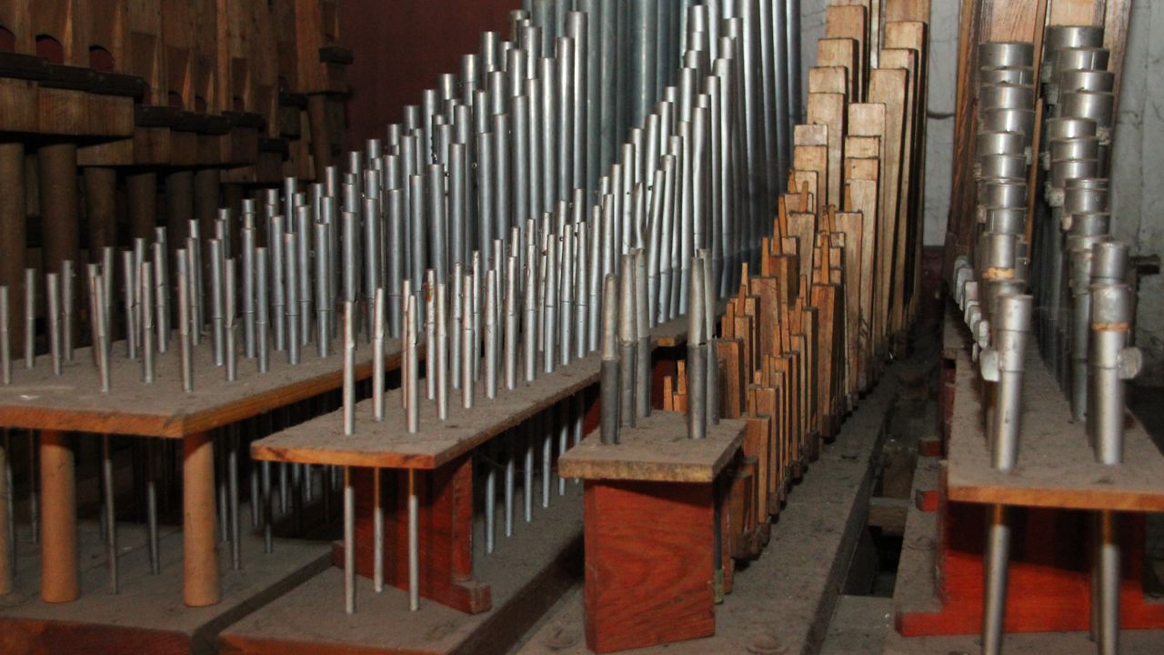 Wnętrze organów